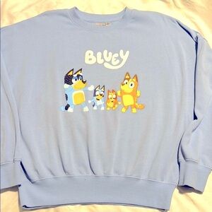 Disney Bluey’s Women's Blue Sweatshirt in Size Small
